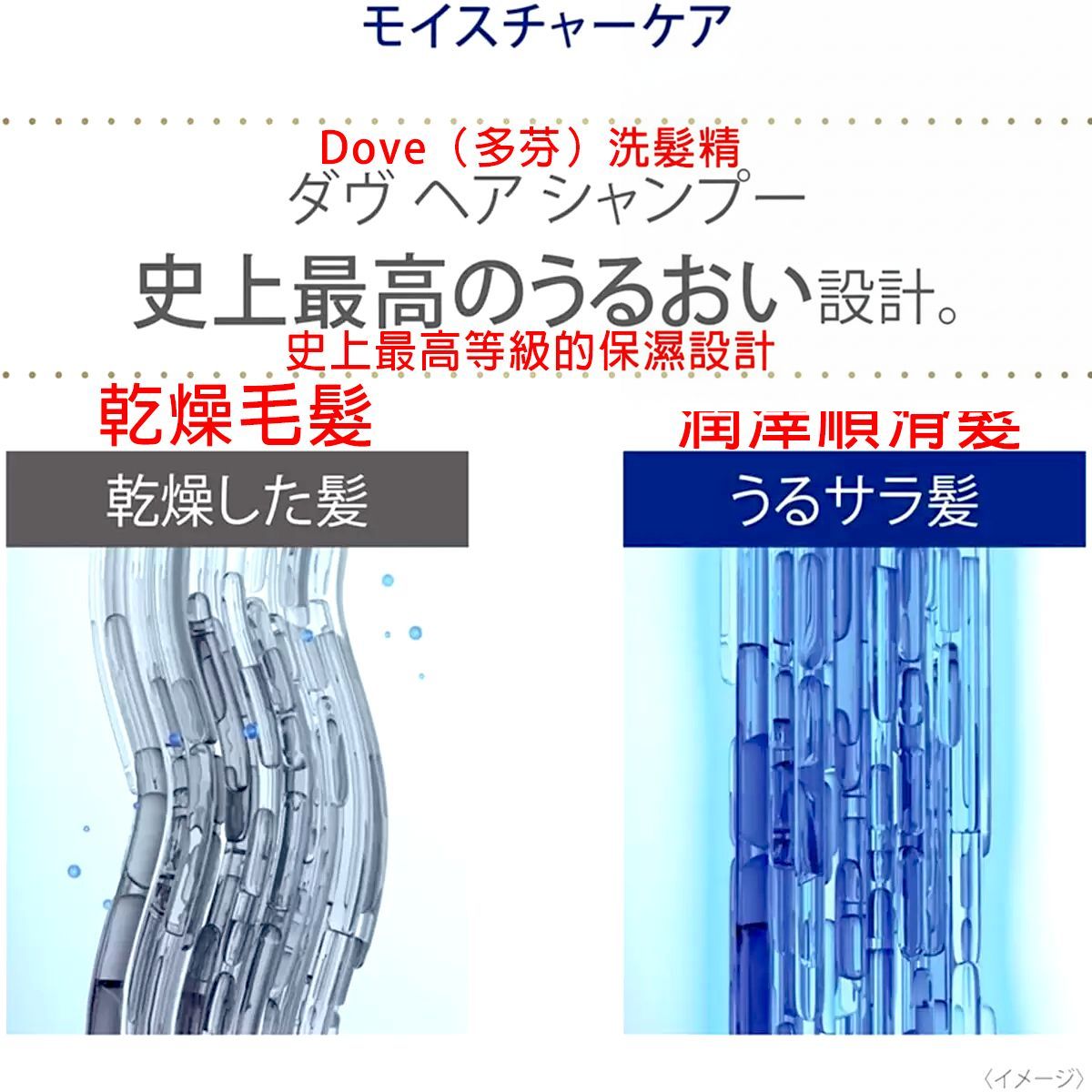 Dove 日本製 保濕洗髮乳 補充裝 2.2 kg（超值裝） Shampoo Shampoo 圖1
