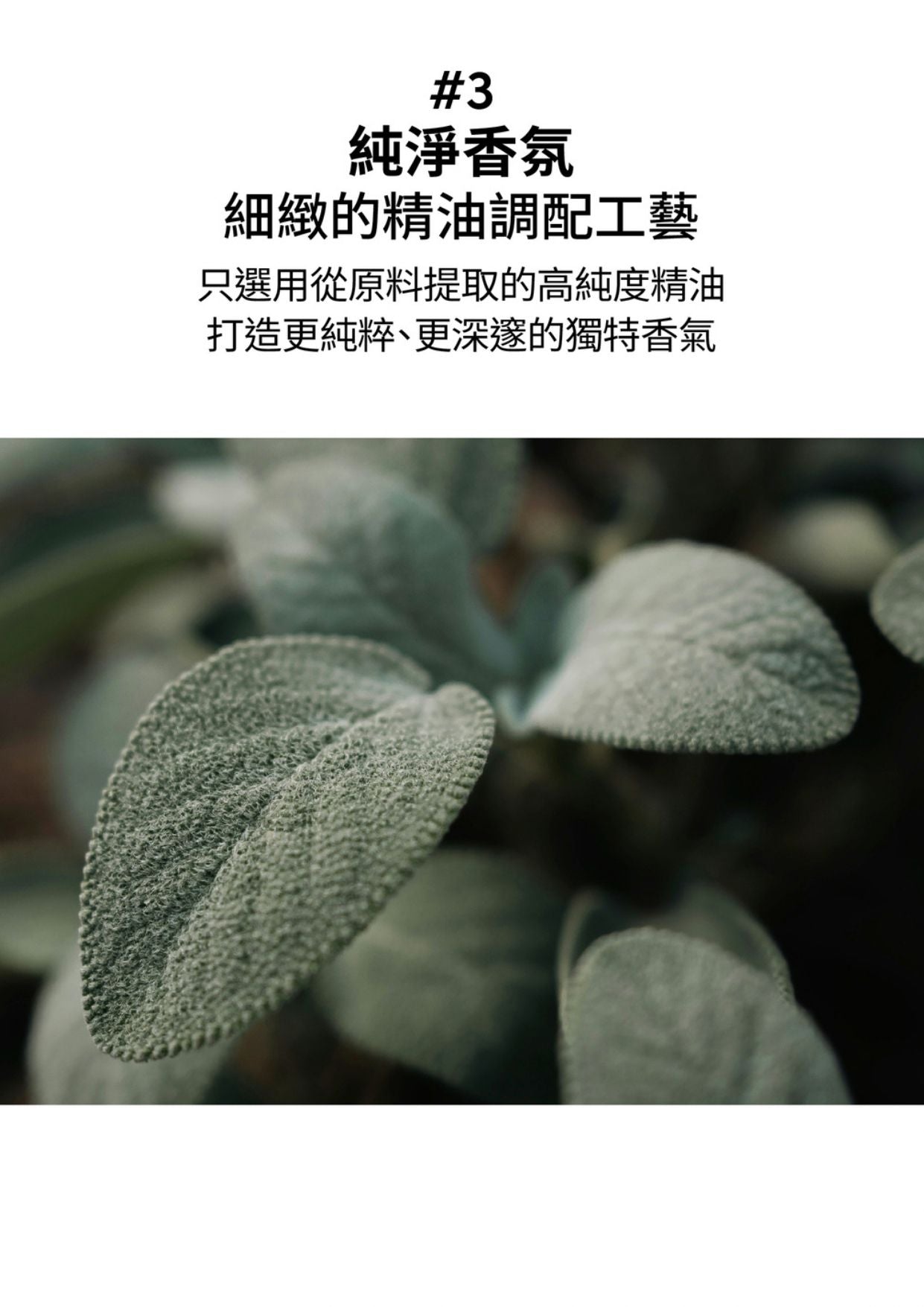 monclos - [醇厚琥珀]-擴香組-150ml (香港行貨) (40343)